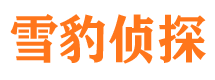 渭城市侦探调查公司